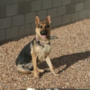 Meet your Posher, Zoey